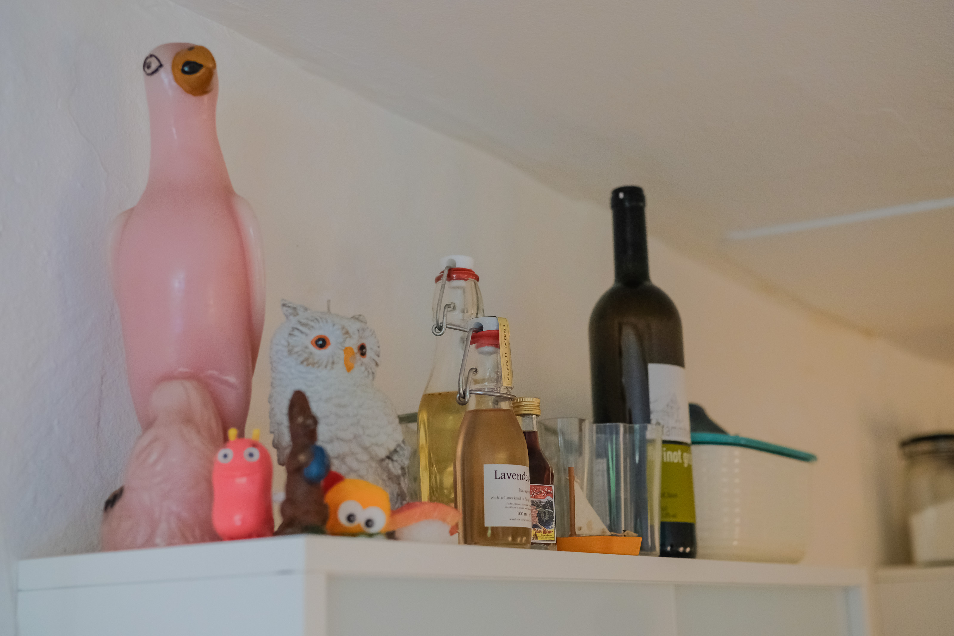 Vogelparade: Diverse Objekte auf dem Kühlschrank. Foto: Jan Graber, 2018.